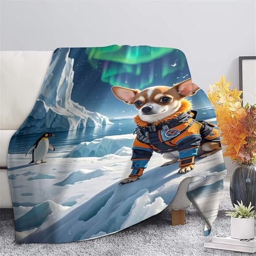 Plaid Chihuahua 3D en microfibres 150x200cm pour canapé et lit - 5