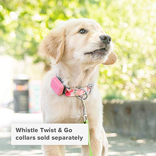 Whistle Go - Health & Location Tracker for Pets - Waterproof GPS Pet Tracker, 10 Day Battery, Pet Fitness Tracker fits on Collar or Harness - Blush Pink