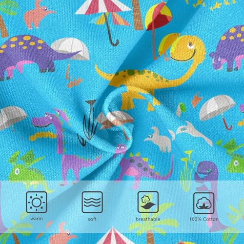 Cartoon Dinosaurs Toddler Boy's Underwear 2T 202c17613