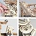 ROKR Marble Run 3D Wooden Model Kits 3D Puzzle Mechanical Puzzles for Teens and Adults(Waterwheel Coaster)
