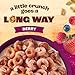 Cheerios Oat Crunch Berry Oat Breakfast Cereal, Family Size, 24 oz