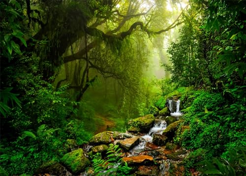 Fondo fotográfico selva tropical 10x8 ft miniatura 1