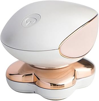 Electric Razors for Women Legs, Painless Hair Removal Device with LED Light, Faultless Shaver for Women, Personal Care Products, Instant with Storage Bag and Adapter