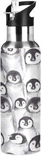 Nander Cute Koala Bears Water Bottle 22oz Double Wall Vacuum Insulated Leak Proof Stainless Steel Sports Water Bottle with Straw and Easy to Carry