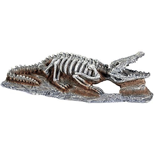 Pet Ting Fossil Décoration d'aquarium en Forme de Dinosaure