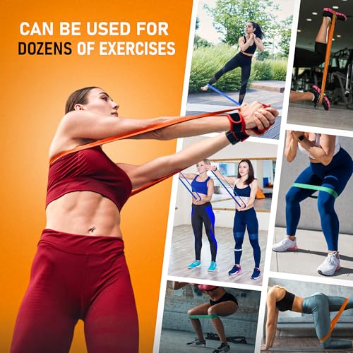 Pure Band - Latex-Free Professional Resistance Bands for Working Out, Stretching, Rehab, & Physical Therapy - Premium, Stretch Bands for Exercise & Recovery - Super Strong Exercise Bands - Image 4