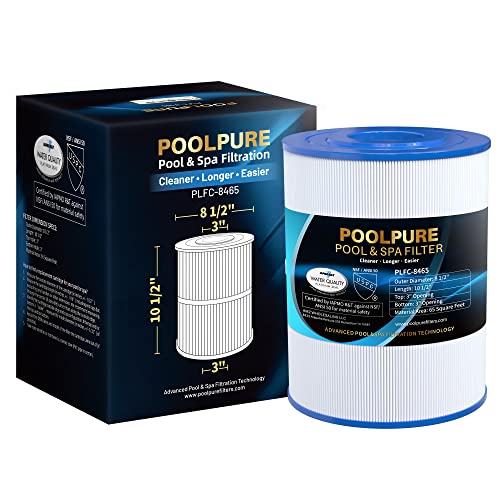 POOLPURE C-8465 Spa Filter Replaces Watkins 31114, Pleatco PWK65, Filbur FC-3960, 71827, 71828, Watkins 65 sq.ft Tiger River Spa Filter 1 Pack (Standard) by POOLPURE - Used condition - US$34.55