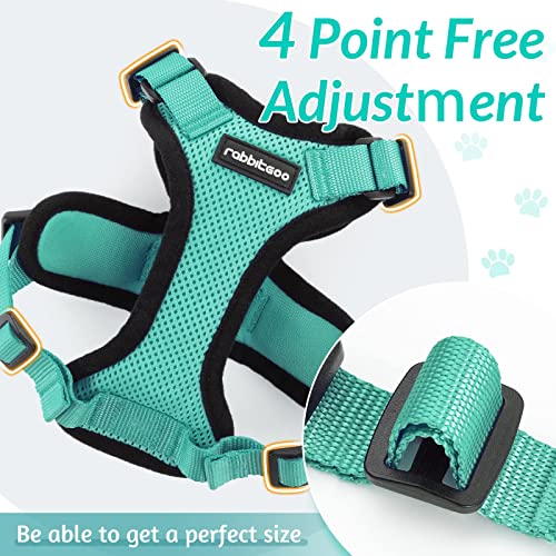 Rabbitgoo Cat Harness And Leash For Walking, Escape Proof Soft Adjustable Vest Harnesses For Cats, Easy Control Breathable Reflective Strips Jacket, Emerald, S #TOP4