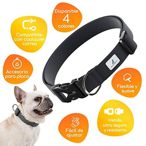 Collares para perros 20 Imagen adicional