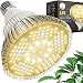 100W LED Grow Light Bulb - Warm White Full Spectrum Plant Light for Indoor Plants, Garden, Aquarium, Vegetables, Greenhouse & Hydroponic Growing by Haus Bright (100W Warm White)