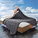 Topcee Weighted Blanket (20lbs 60
