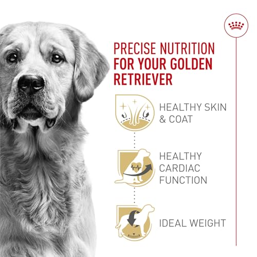 ROYAL CANIN Breed Health Nutrition Golden Retriever Adult Dry Dog Food, 17-Pound by Royal Canin