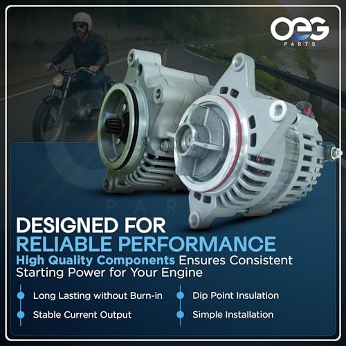 OEG Parts New Alternator Compatible With Honda Motorcycle Gold Wing GL1800 GL1800A GL1800B GL1800HP GL1800HPN Deluxe Airbag Com 2006-2010 31100MCAA61 31100MCAS41 31100MCAVS401 A005TG2079 AMT0253