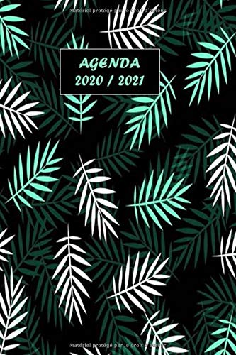 Télécharger Agenda scolaire journalier 2020 2021 format A5: Agenda planificateur mensuel, semainier, journalier Francais PDF