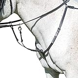 Shires