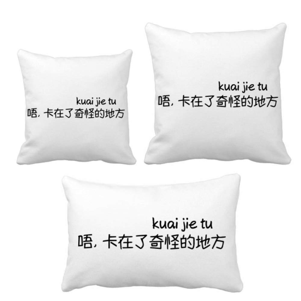 Housse de coussin avec inscription en chinois idée cadeau originale