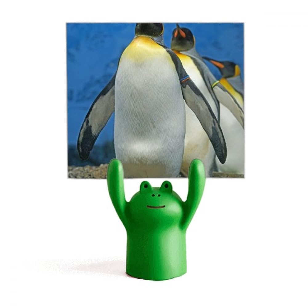 Support photo pingouins Antarctique, cadeau idéal pour passionné de nature