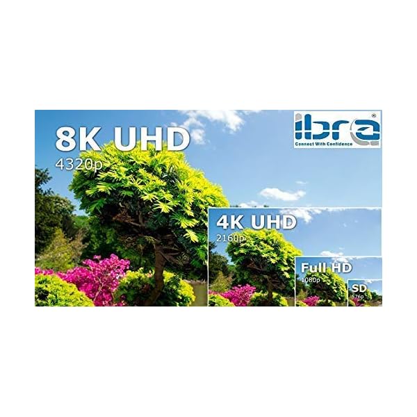 Quali Sono I Migliori Cavi HDMI Per Ottimizzare Le Prestazioni Di PS5 E PS5 PRO - Foto 2