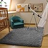 Ophanie Area Rugs for Living Room Bedroom, Upgrade Non-Slip Fluffy Soft Grey Shag Carpet, Indoor Floor Gray 4x6 Fuzzy Shaggy Living Room Plush Rug for Kids Home Dorm Decor Aesthetic #5
