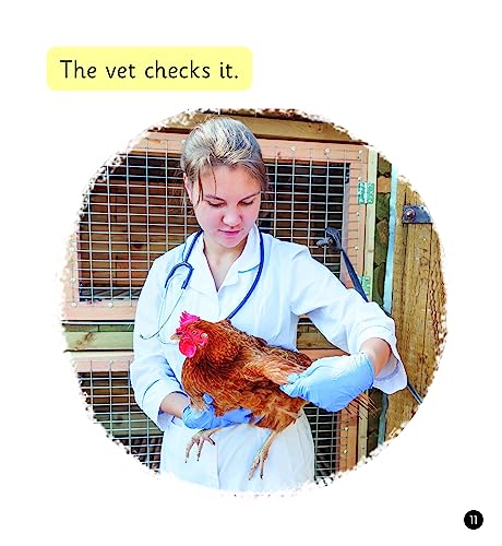 The Job of a Vet (Set 4) (Phonics Book Bag Readers)