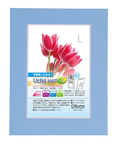 Chikuma フォトスタンド UclidマットEX L ライトブルー 18614-4
