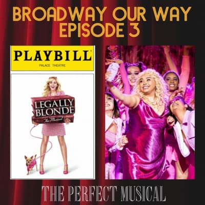 Page de couverture de The Perfect Musical