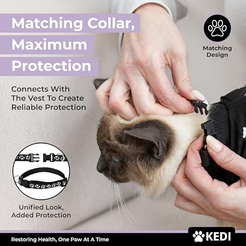 #1 Best Cat Recovery Suit - Premium Pet Apparel Set - Image 6