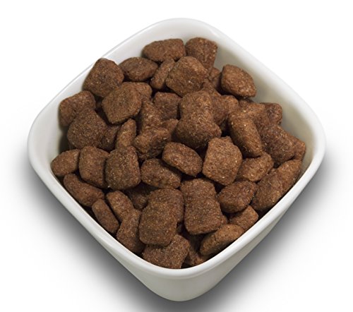 SALiNGO Premium Trockenfutter | Hundefutter trocken Rind mit Gemüse | zuckerfrei | 15 kg