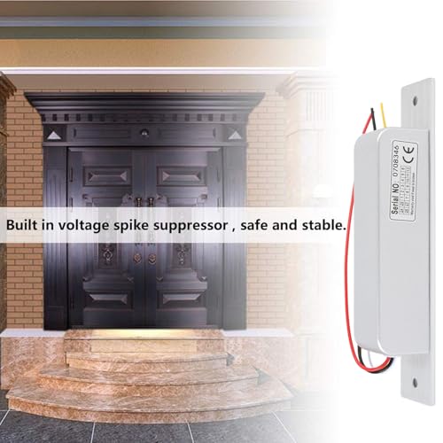 Rcniso Access Control Electric Lock Professional Aging Test 12V 24V Internal Copper Coil for Wooden Doors