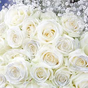 Amazon キラキララメ付き白いバラ50本とキラキラ白いかすみ草の花束 クリスマス お誕生日 お祝いにお届け 花言葉 恋の誓い キラキラワイトローズ Roseshop 花束