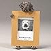 Chocolate Labrador Retriever 2.5" x 3.5" Picture Frame