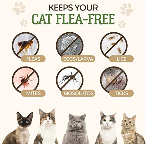Flea Treatment for Cats | Works on Flea & Tick | All Natural Safe Formula & Easy To Apply | 50ml Spot On Application