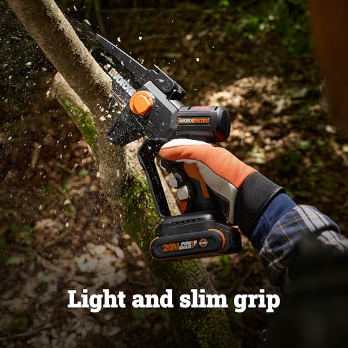 Worx 5