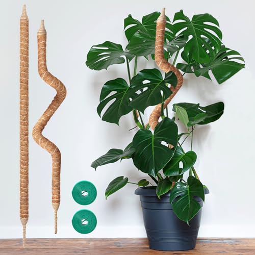Vanut 2-Pack 35in Moss Poles for Climbing Plants, Adjustable Plant Support Sticks for Monstera, Pothos Vines, Philodendron, Fishbone Cactus & Indoor Tropical Houseplants, Coco Coir