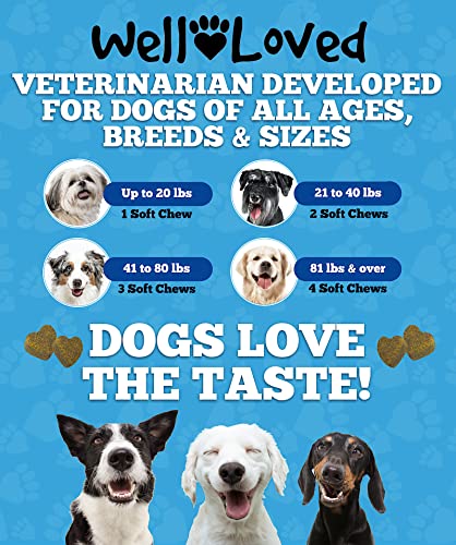 Well Loved Probiotics For Dogs - Dog Probiotics And Digestive Enzymes, Made In Usa, Vet Developed, Dog Probiotic Chews With Prebiotics, Diarrhea Treatment, For Itchy Skin, Gut Health & Gas Relief #TOP4