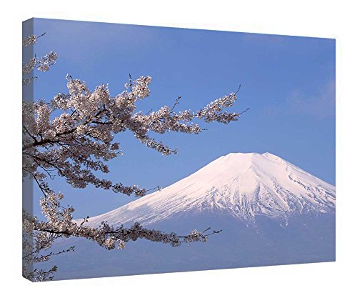 Toile Sakura prêtre à être accrochée avec châssis bois véritable 40x50cm
