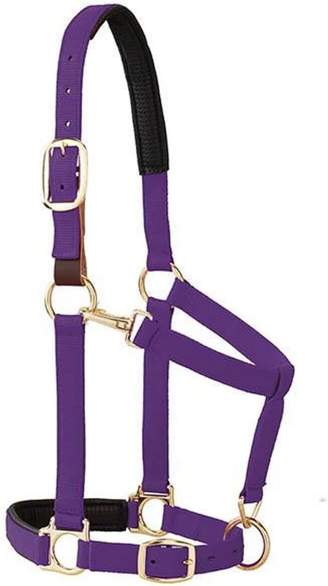 Breakaway Horse Halter, Comfort Foam Padding, Adjustable Chin & Throat Snap Halters for Horses, Equine Tack,Average Size, Purple