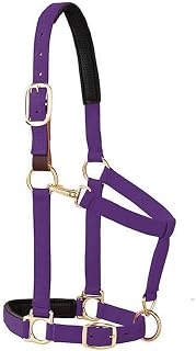 Weaver Equine Breakaway Horse Halter in Pakistan