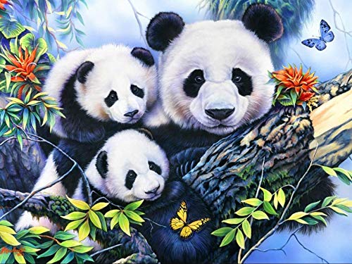 Bimkole Diamond Painting 5D DIY Diamant Peinture Panda Bricolage Plein Forage Cristal Strass Peinture Décor à La Maison 30 * 40 cm(y5-879) Cover