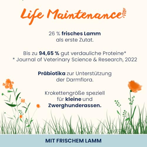 Almo Nature Life Maintenance Trockenfutter für Hunde XS-S mit Lamm 2 kg – Alleinfuttermittel für ausgewachsene Hunde Kleiner und sehr Kleiner Rassen