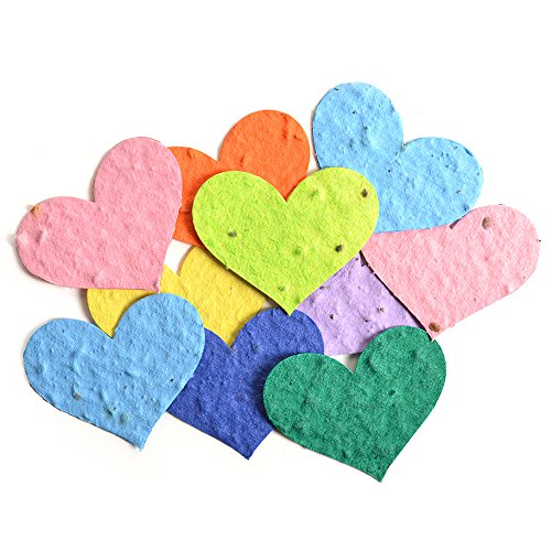 Bloomin Seed Paper Shapes Packs - Heart Shapes - 100 Shapes Per Pack - 2.3X1.8 {Color Mix} By Bloomin #TOP1