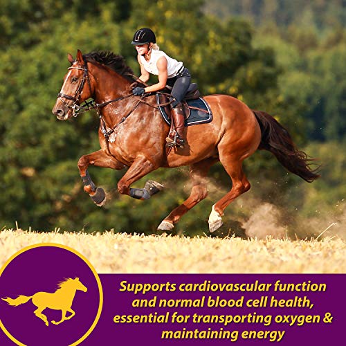 Farnam 100506701 Horse Health Red Cell Pellets, Vitamin-Iron-Mineral Supplement thumb #1