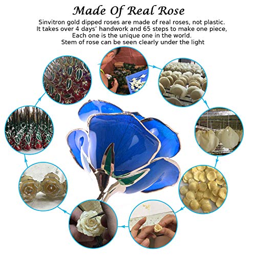 Image of Sinvitron Gold Dipped Infinity Rose Forever Flower Decor, Resin Preserved Real Rose Birthday Gift for Women, Anniversary Present for Mom (Deep Blue)
