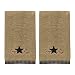 Star Vine Fingertip Towel - Set of 2