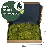 Moos Design mousse naturelle en plaque de 33,5 x 23 cm photo 2