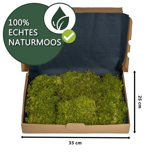 Moos Design I Terrarium Moos für Reptilien & Amphibien I Ideal für bioaktive Terrarien I Bodengrund Terrarium Substrat Naturmoos