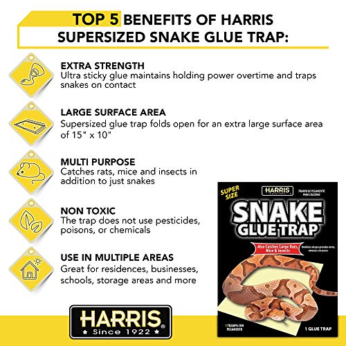Harris Snake Glue Trap, Super Sized For Snakes, Rats, Mice And Insects (2-Pack) #TOP2