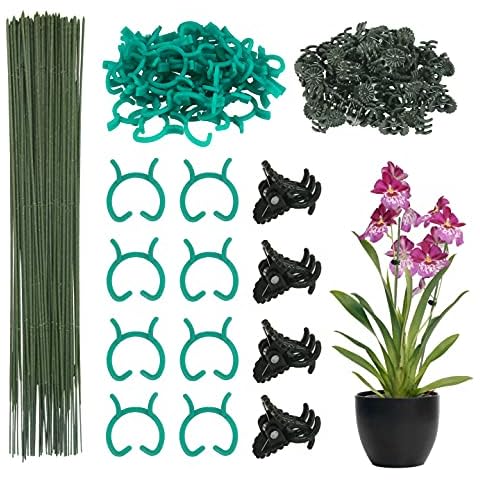 DKINY 150 Pcs Orchid Support Sticks and Clips Plant Supports Set with Orchid Clips Green Plant Clips and Stakes for Garden Orchid Flower Small Plants Cover