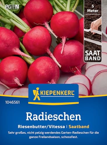 Kiepenkerl Radieschensamen Riesenbutter/Vitessa 1046561 - Große mild-würzige Knollen ideal zum Naschen Gemüsesamen im praktischen Saatband