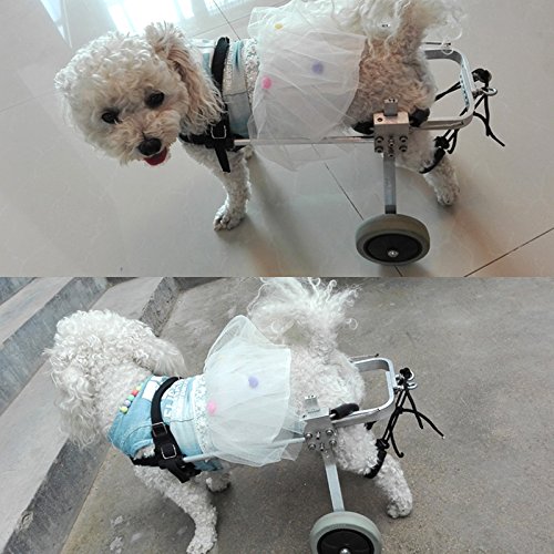 Adjustable Aluminium Dog Wheelchair for Small Pets, Rehabilitation Aid Hind Leg Mobility Cart for Dogs and Cats - Image 6